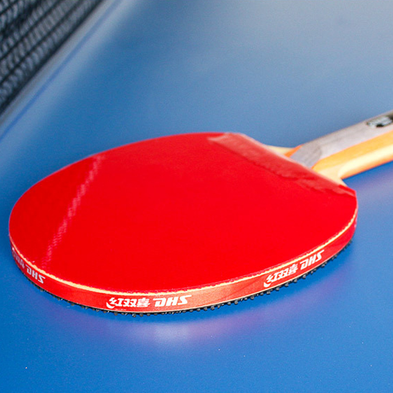 DHS Self-adhesive Table Tennis - Table Tennis Paddle Set review and price