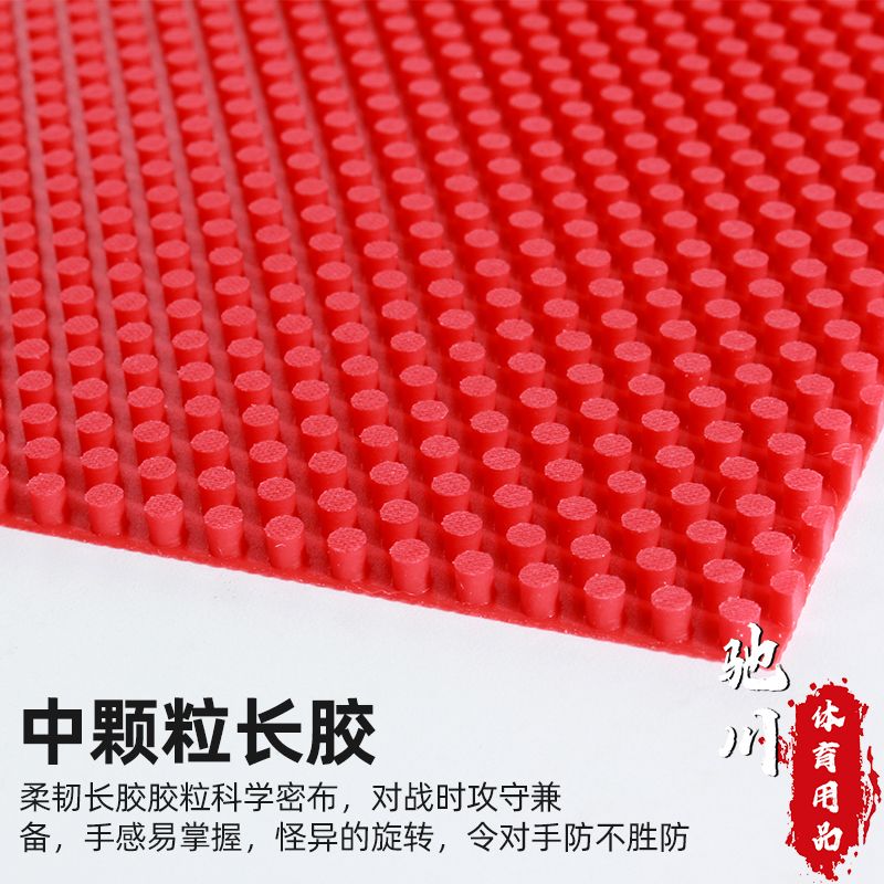 Germany Sauer Troger SCHMERZ M - Table Tennis Germany review and price
