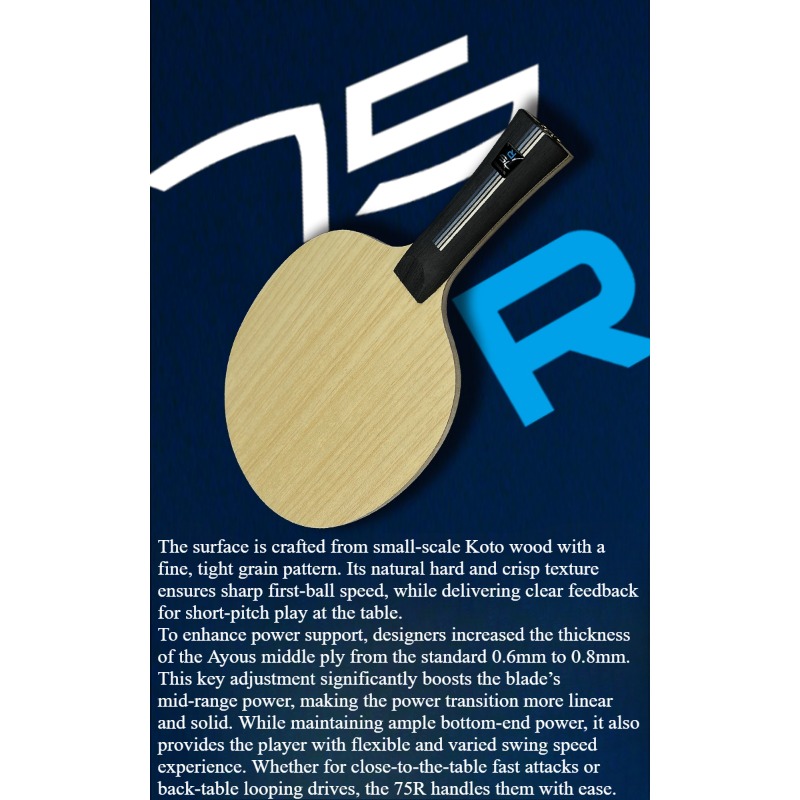 SANWEI 75R 5+2 Outer H-GLC Tab - Table Tennis Blade review and price